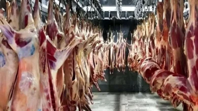 گوشت