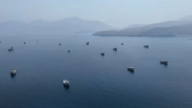 نفت