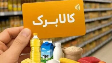 مجری طرح کالابرگ: تصمیمگیری درباره افزایش رقم کالابرگ هنوز نهایی نشده است