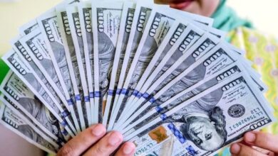 قیمت دلار، یورو و انواع ارزها امروز ۱۸ مهر ۱۴۰۵| دلار به کانال ۲۶۴ هزار تومان بازگشت + جدول