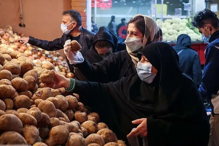 سیب زمینی